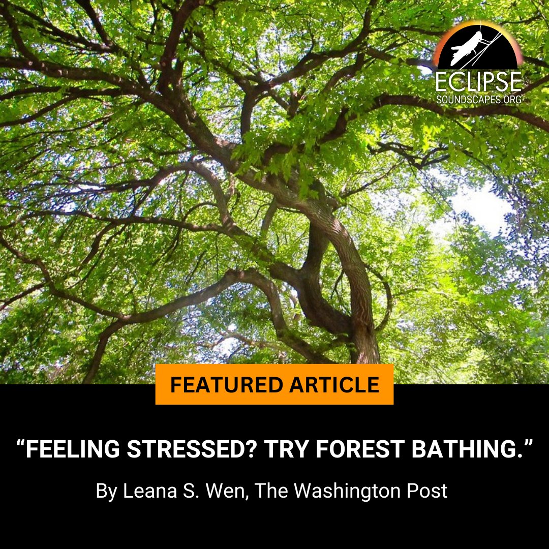 Eclipse Soundscapes (@eclipsesoundudl) on Twitter photo Looking for a way to unwind this weekend? Try forest bathing! Not only can this practice boost immunity, improve mood, and reduce stress, it's a great way to practice your #multisensory observation skills. 
Lesson plans and activities: eclipsesoundscapes.org. Looking for a way to unwind this weekend? Try forest bathing! Not only can this practice boost immunity, improve mood, and reduce stress, it's a great way to practice your #multisensory observation skills. 
Lesson plans and activities: eclipsesoundscapes.org.