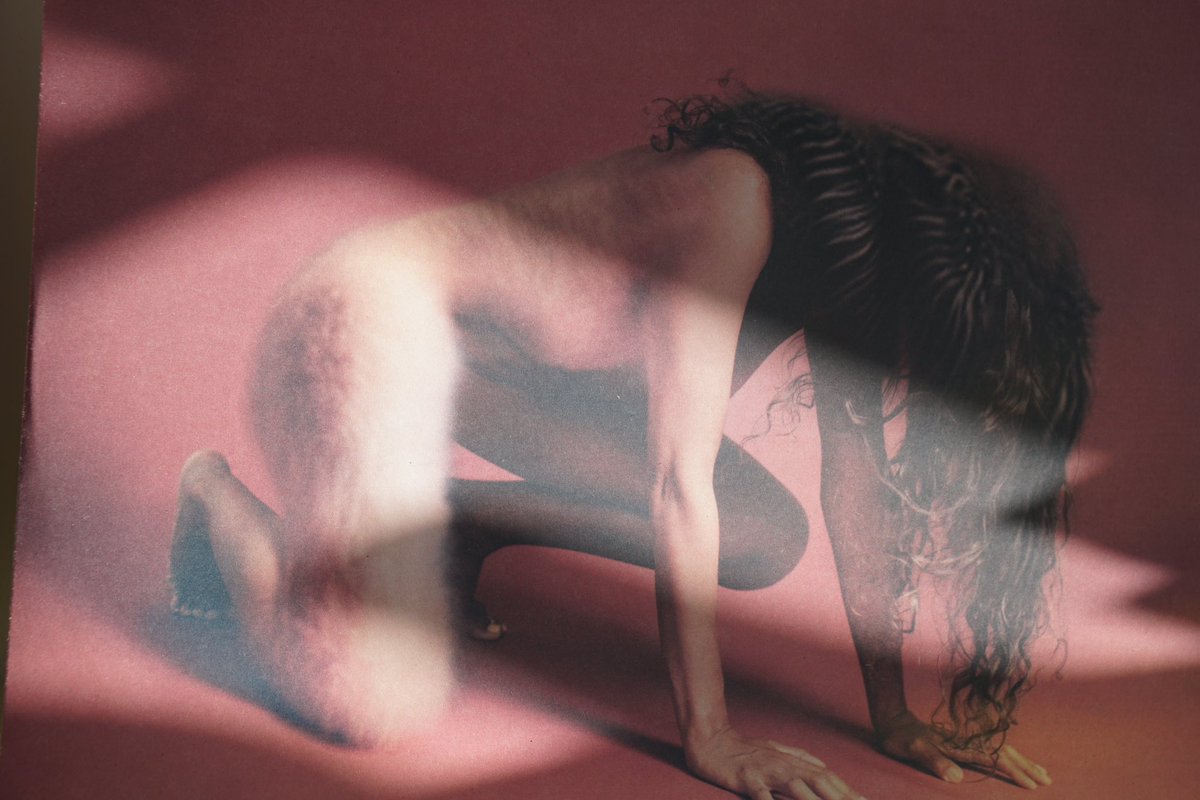 12 ensemble tweet media