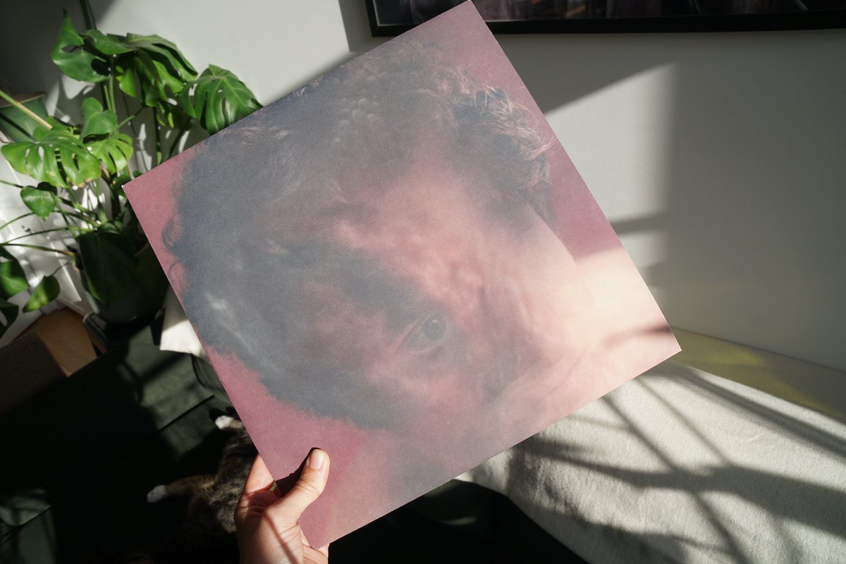 12 ensemble tweet media