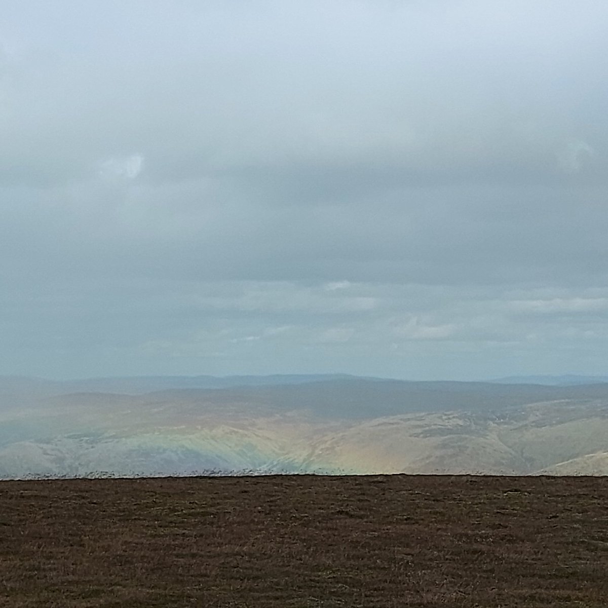 @campbellperry.bsky.social tweet media