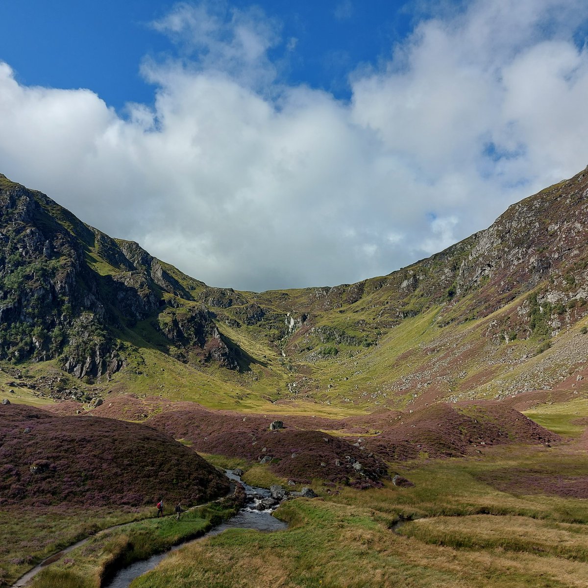 @campbellperry.bsky.social tweet media