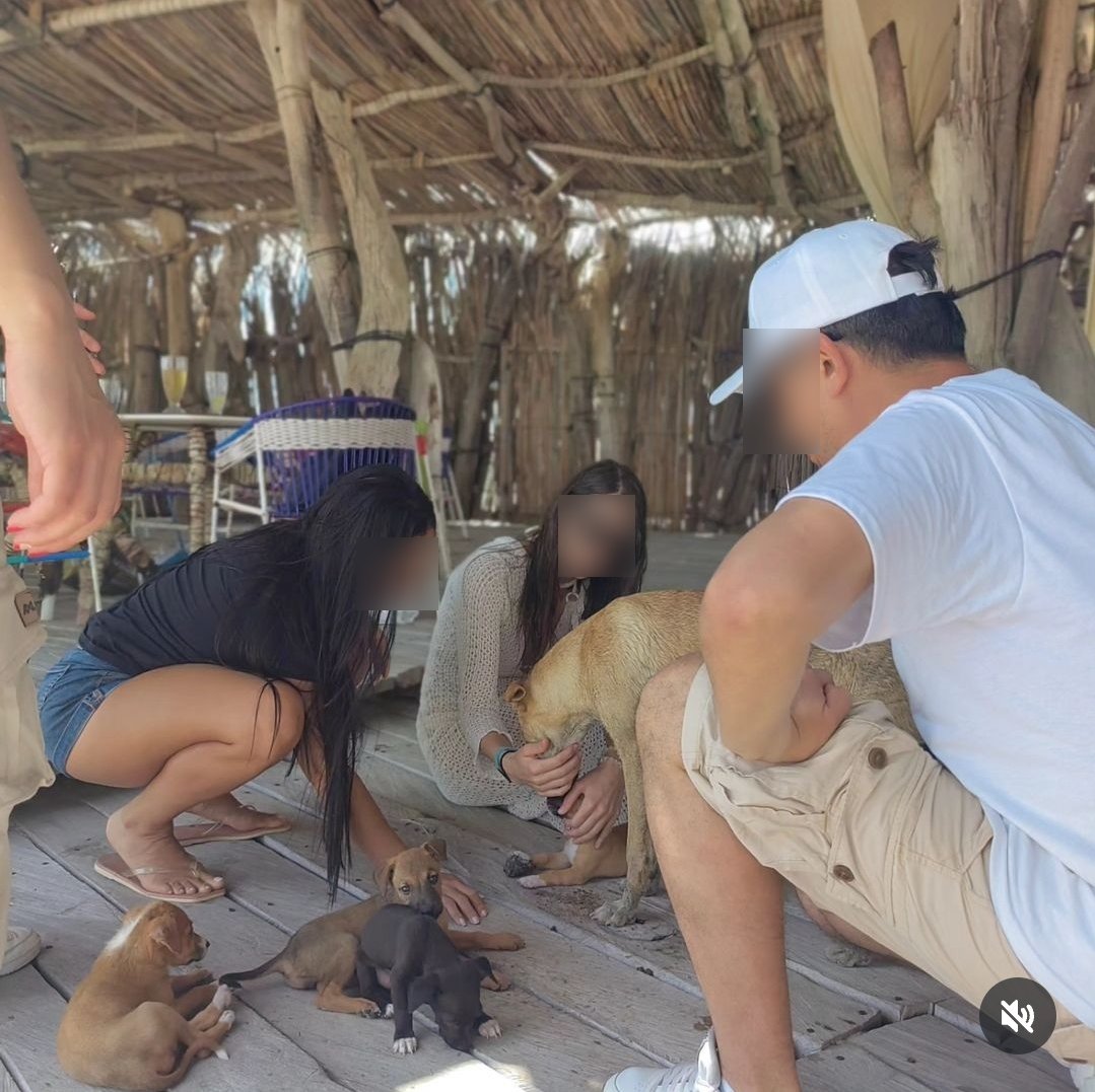 ColombiaOscura's tweet photo. #URGENTE. Grave denuncia contra lujoso hotel Bethel Playa Mayapo en La Guajira, por presencia de perros y gatos completamente desnutridos. Lo curioso es que meses atrás, trabajadores del hostal posaban con los animales cuando eran cachorros aparente/ haciendo publicidad en R/S.

👉 https://t.co/YyeQ4DLQbF