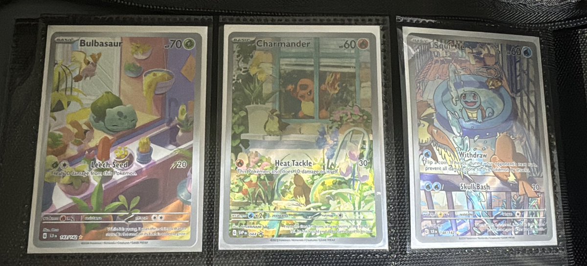Bidoof Academy tweet media