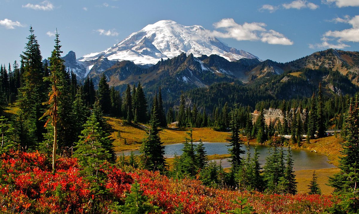 Women only want one thing in life and it makes me sick