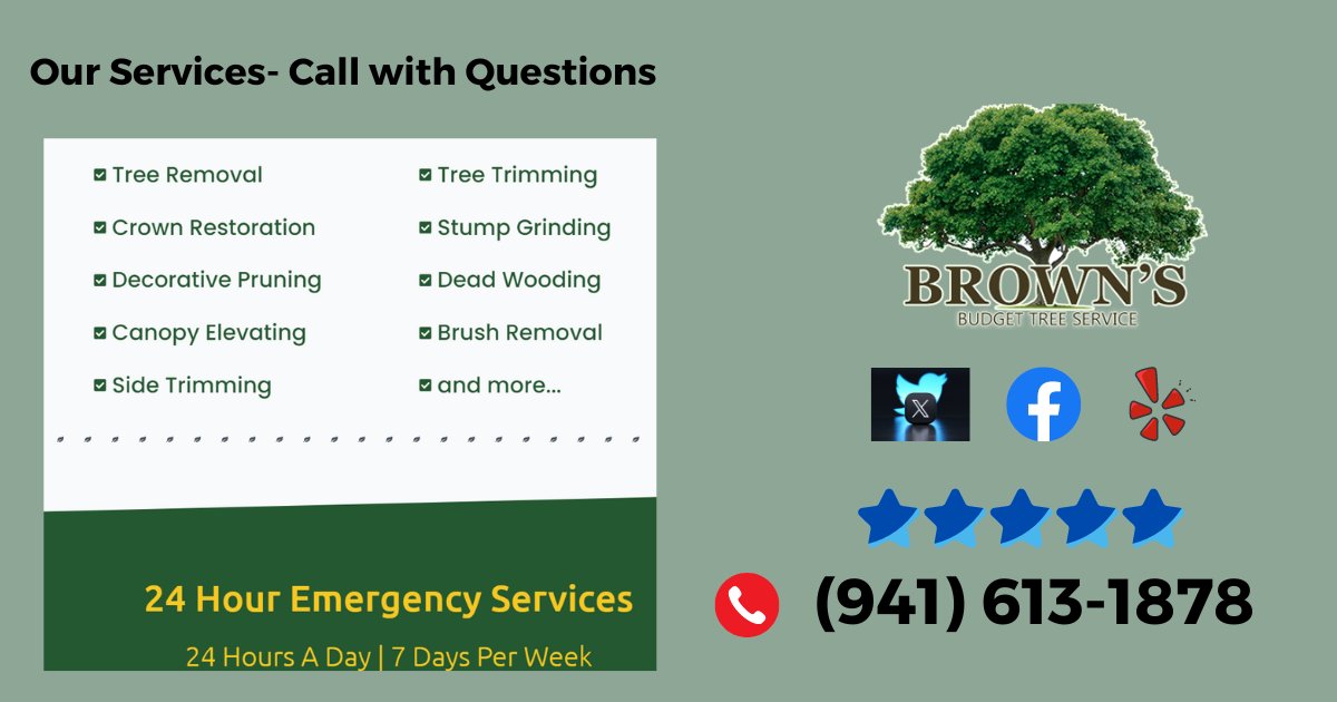 BrownBudget's tweet photo. Tree Service in Port Charlotte with Brown's Budget Tree Service. We do tree trimming, large tree and small tree removal, stump grinding, and removal of bamboo roots.  Call Jean at (941) 613-1878.  https://t.co/vno2xT7rhg https://t.co/cLPj469mSe