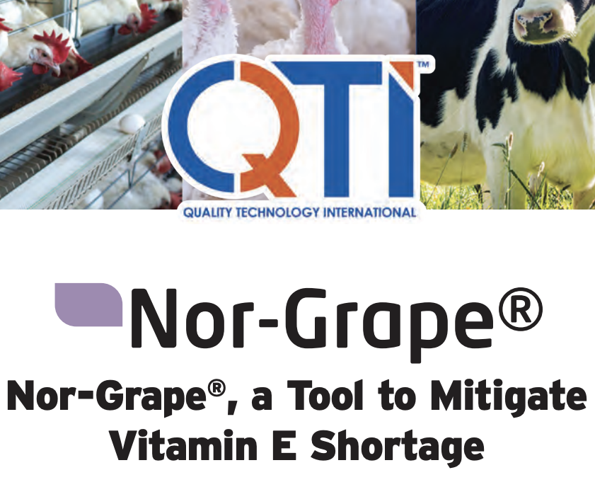 QualTechInt's tweet photo. Attention producers: Vitamin E prices are high! What can you do to fill the gap and get the Vitamin E products you need? Nor-Grape® can be the solution. Contact QTI today!
https://t.co/Xhc1S9Mn7q https://t.co/IDRVS8X7p0