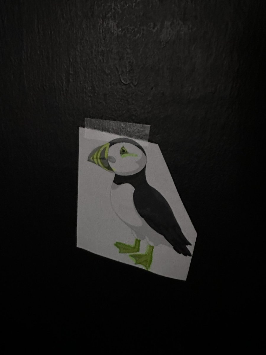 CTMSHatcher's tweet photo. More Puffin Patrol training happened today. We searched for the lost Pufflings in the dark and got some others all clean. @CTMSWolfWay @GCISD @n2yllc https://t.co/d4Kpq04IUV