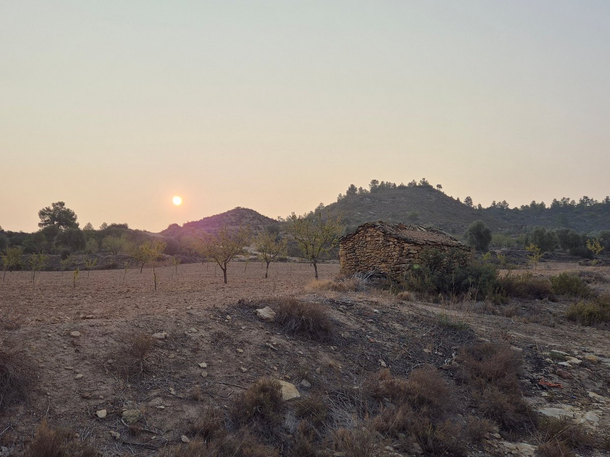 mmmmmmpc's tweet image. Developing back my #MorningRunning routine with some cycling and swimming added.
I'm in 4 of 5 runs a week 4K each... the goal is to go back to #5of5 runs a week. 
Nice to be in the countryside, feels great to see olive trees and almond trees.
#BeatYesterday @Garmin @ASICSeurope