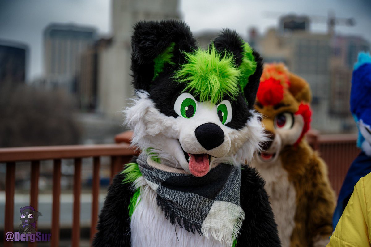 Toby Collie tweet media