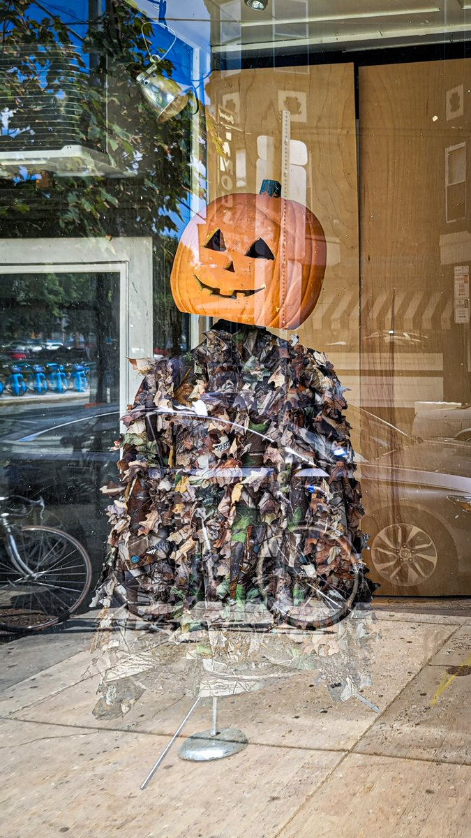 When Autumn is waiting around the corner like...  #PumpkinHead #Camouflage #Waiting #TheViewFromHere #Autumn #Pumpkin #Head #Smile #JackOLantern #Jacked #Reflect #Reflection #Fun #Funny #Photo #NYCPhotography #Photography #Photofervor #NewYork #Wander #Explore #Capture