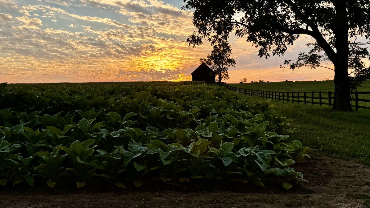 Sunset across the farm in Kentucky, by <a href="/mcclanahanjanet/">janet mcclanahan</a>