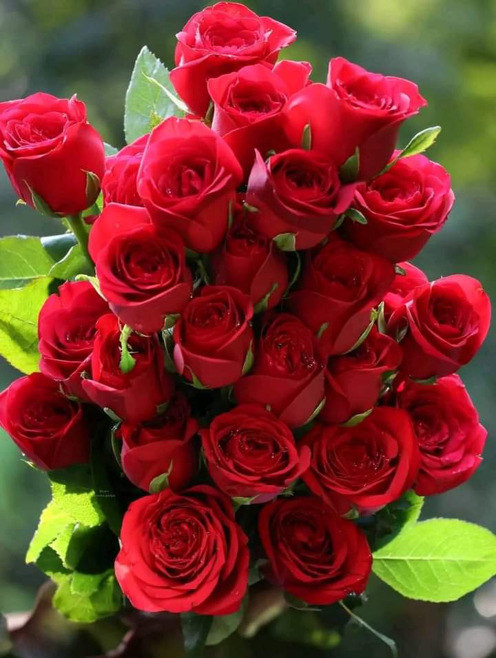 Selam Assefa tweet media