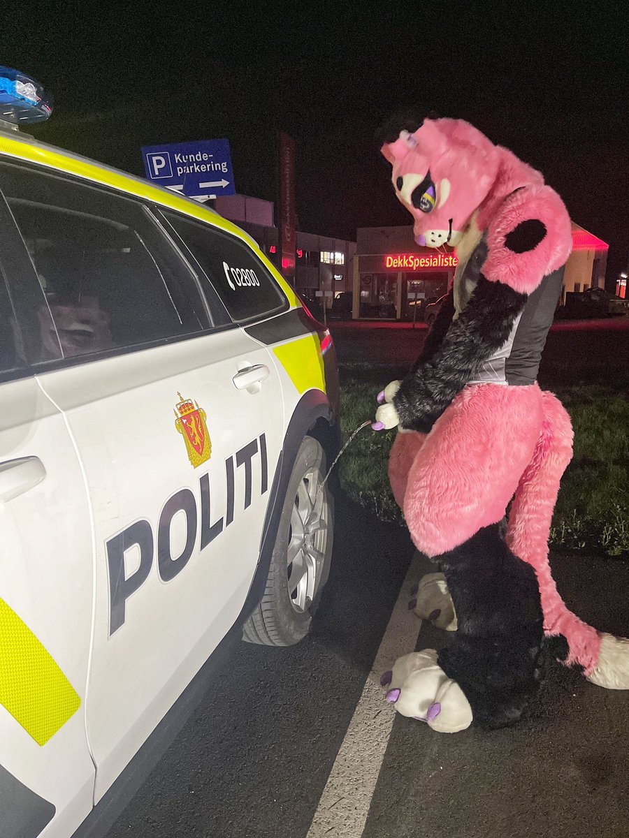 no context furry (@furrynocontext) on Twitter photo 