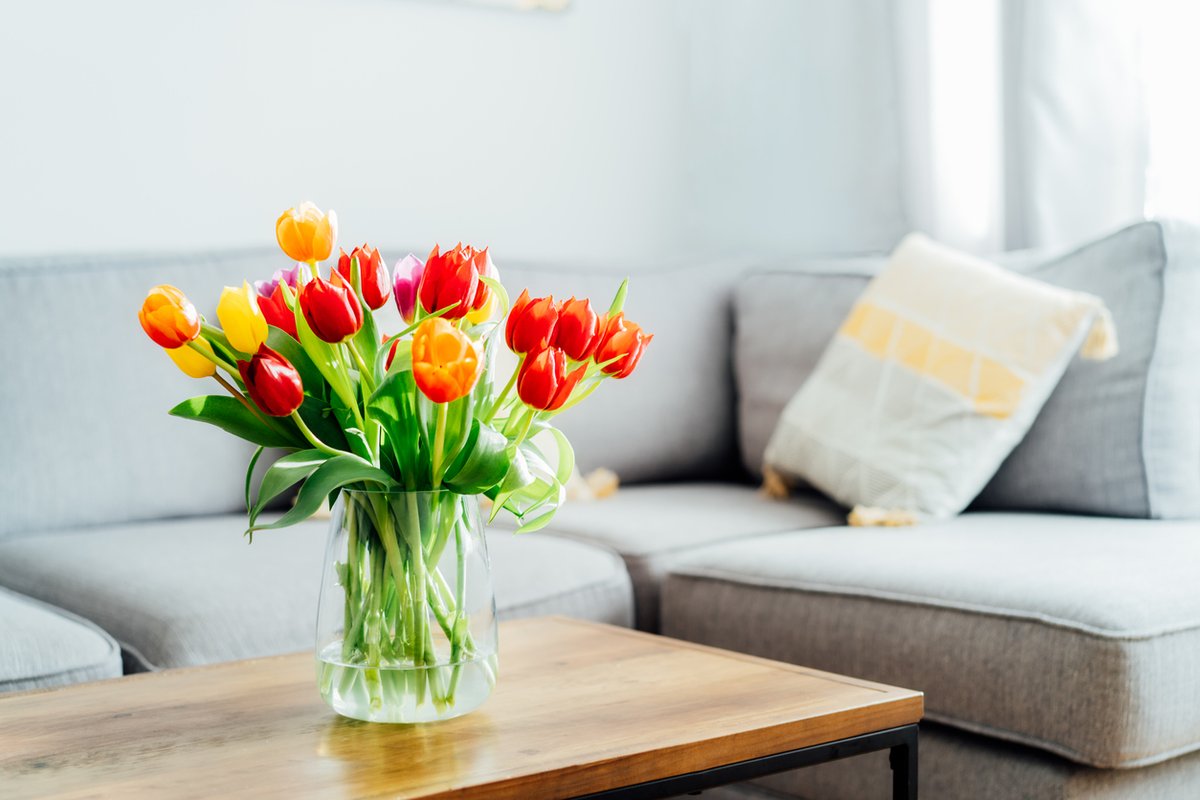 MoveHomeFaster's tweet image. 💐🏘️ 6 Easy Home Staging Tips For A Quick Sale 

6 Easy Home Staging Tips For A Quick Sale. Find out more to stage your home for a successful home viewing. movehomefaster.co.uk/blog/article/e…

#sellingtips