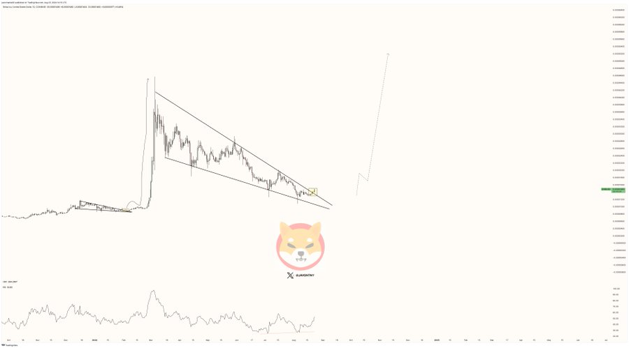 Shiba Inu Falling Wedge Breakout