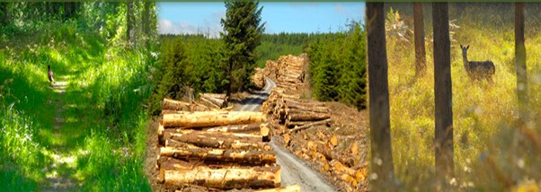 Circular Bioeconomy Research Group (@circbio) on Twitter photo 🌳🔄 Reminder: MainstreamBIO's #Irish Open Call is Still Open!
Looking to #upscale and take your project to the next level? 🌳
🌳 Then take this opportunity to mainstream your project needs through the support of our Open Call. 💡 🌍
circbio.ie/news/mainstrea…
<a href="/MTU_ie/">Munster Technological University</a> <a href="/IKC3_Project/">IKC3 Project</a> 🌳🔄 Reminder: MainstreamBIO's #Irish Open Call is Still Open!
Looking to #upscale and take your project to the next level? 🌳
🌳 Then take this opportunity to mainstream your project needs through the support of our Open Call. 💡 🌍
circbio.ie/news/mainstrea…
<a href="/MTU_ie/">Munster Technological University</a> <a href="/IKC3_Project/">IKC3 Project</a>