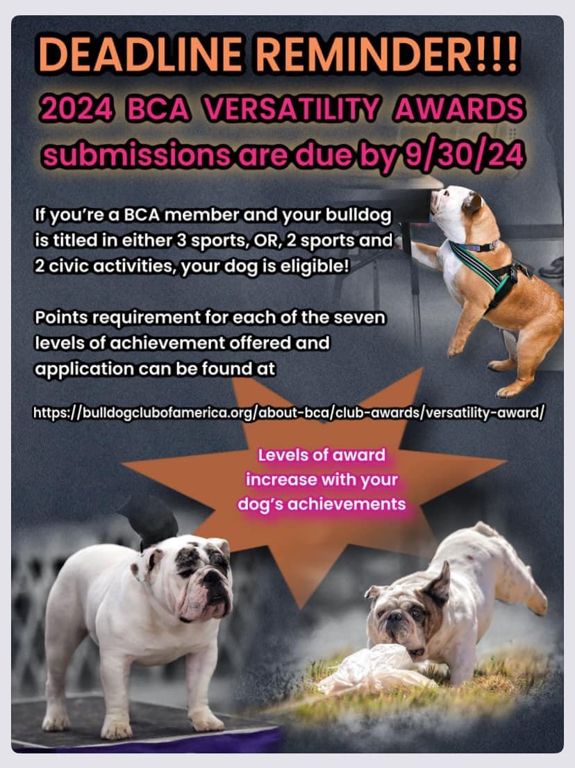 realbca's tweet photo. For BCA members: don't forget to submit for your versatility awards!
Deadline Sept 30 https://t.co/6uXlZBakYZ