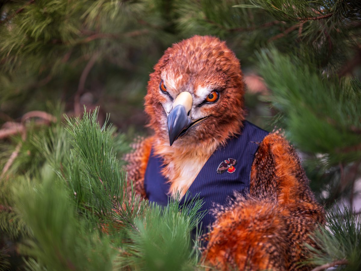 Mmm, a snack should wander by soon...

#NFC2024 
✂️by <a href="/clckwrkcreature/">Clockwork Creature</a>
📸 by <a href="/CaptainChaotika/">🌻 混沌的隊長 ➡️ TFF, AC, EF</a>