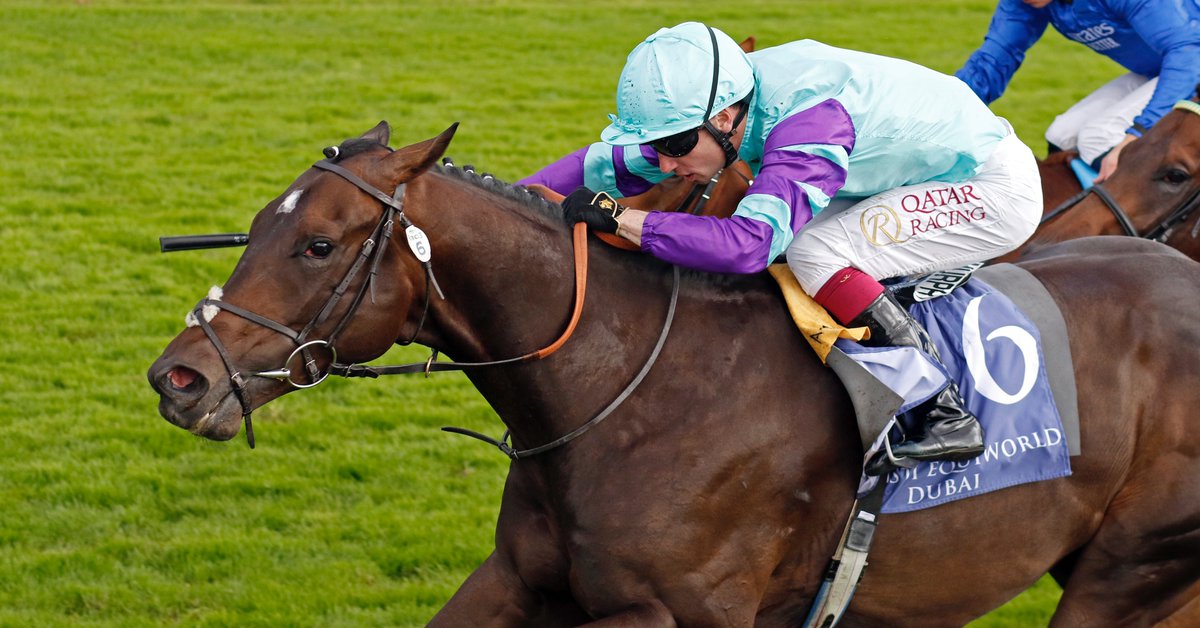 EBN (@bloodstocknews) on Twitter photo ✨ New Group winner for <a href="/Mantonstallions/">Manton Park Stallions</a>' ADVERTISE ✨
🥇 COOL HOOF LUKE (pic <a href="/Steven_Cargill/">Steven Cargill</a>) wins the Gr.2 Gimcrack Stakes. The 2YO colt is a graduate of <a href="/Tattersalls1766/">Tattersalls</a> & <a href="/Tattersalls_ie/">Tattersalls Ireland</a> and was most recently purchased by <a href="/AndrewBalding2/">Andrew Balding</a> from Vinesgrove Stud for €20,000. ✨ New Group winner for <a href="/Mantonstallions/">Manton Park Stallions</a>' ADVERTISE ✨
🥇 COOL HOOF LUKE (pic <a href="/Steven_Cargill/">Steven Cargill</a>) wins the Gr.2 Gimcrack Stakes. The 2YO colt is a graduate of <a href="/Tattersalls1766/">Tattersalls</a> & <a href="/Tattersalls_ie/">Tattersalls Ireland</a> and was most recently purchased by <a href="/AndrewBalding2/">Andrew Balding</a> from Vinesgrove Stud for €20,000.