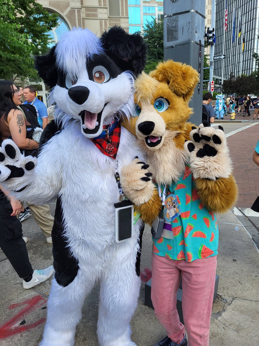 You know what your weekend needs?   Two adorable and happy collies! #FursuitFriday

With: <a href="/MaxBaxCollie/">Maxwell Baxter-Corrie</a> 
🪡: <a href="/CurlyCollective/">CurlyCollective (Retired)</a>