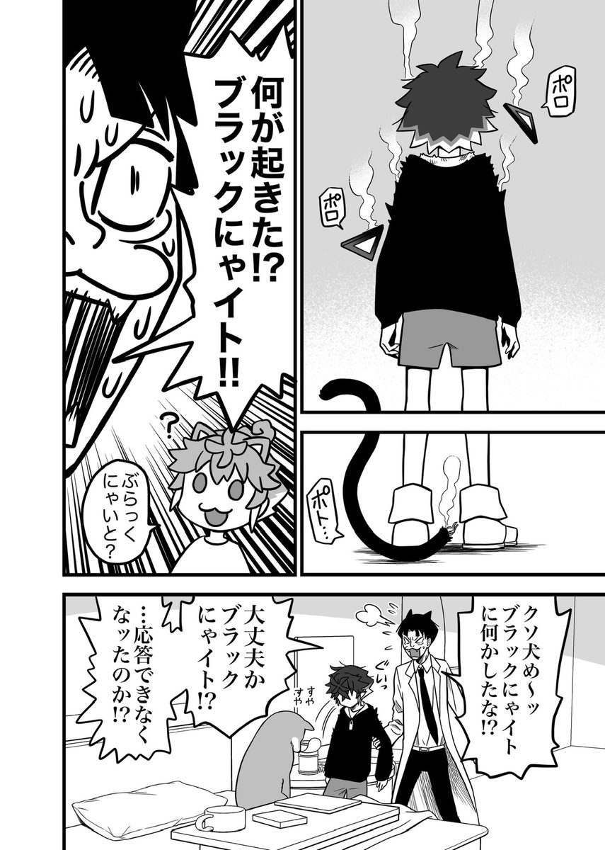 ④/8 