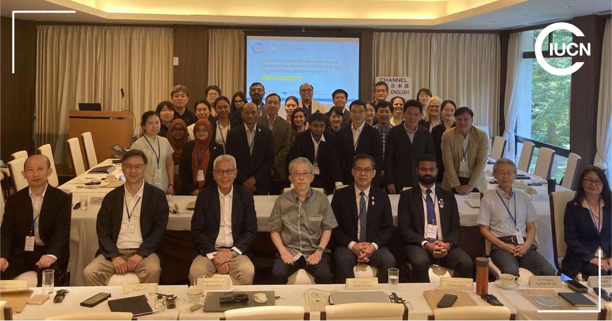 IUCN_PA's tweet photo. 🌏Effective conservation can take many forms

🌱Integrating #OECMs into national strategies, &amp; recognising what an #OECM looks like, is key to achieving the 30x30 goal

👉🏻Discover how recent workshops in 🇯🇵 + 🇰🇷 advanced Asia's OECM leadership: https://t.co/OegwVHxfUT

@IUCNAsia https://t.co/dZvDoc4OHU