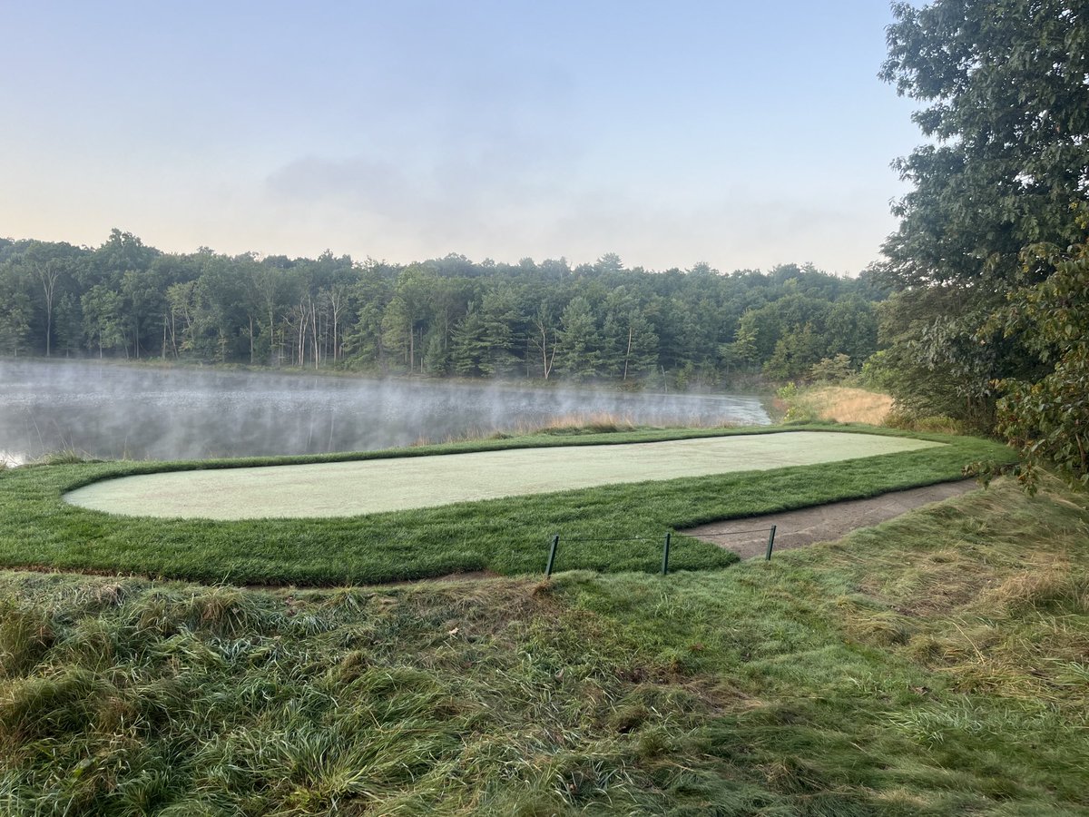 JeffreyKoch74's tweet photo. The trial tee renovation with 007XL creeping bentgrass is doing exceptionally well only 7-days after dropping seed. @SDeBolt_DLFPS #007XL #SuperBents #DLFSeed https://t.co/z1YIXyfJoW