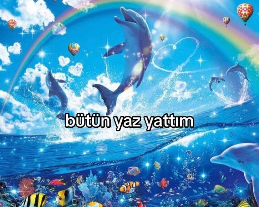 sde🇹🇷 (@qhwangjil) on Twitter photo 