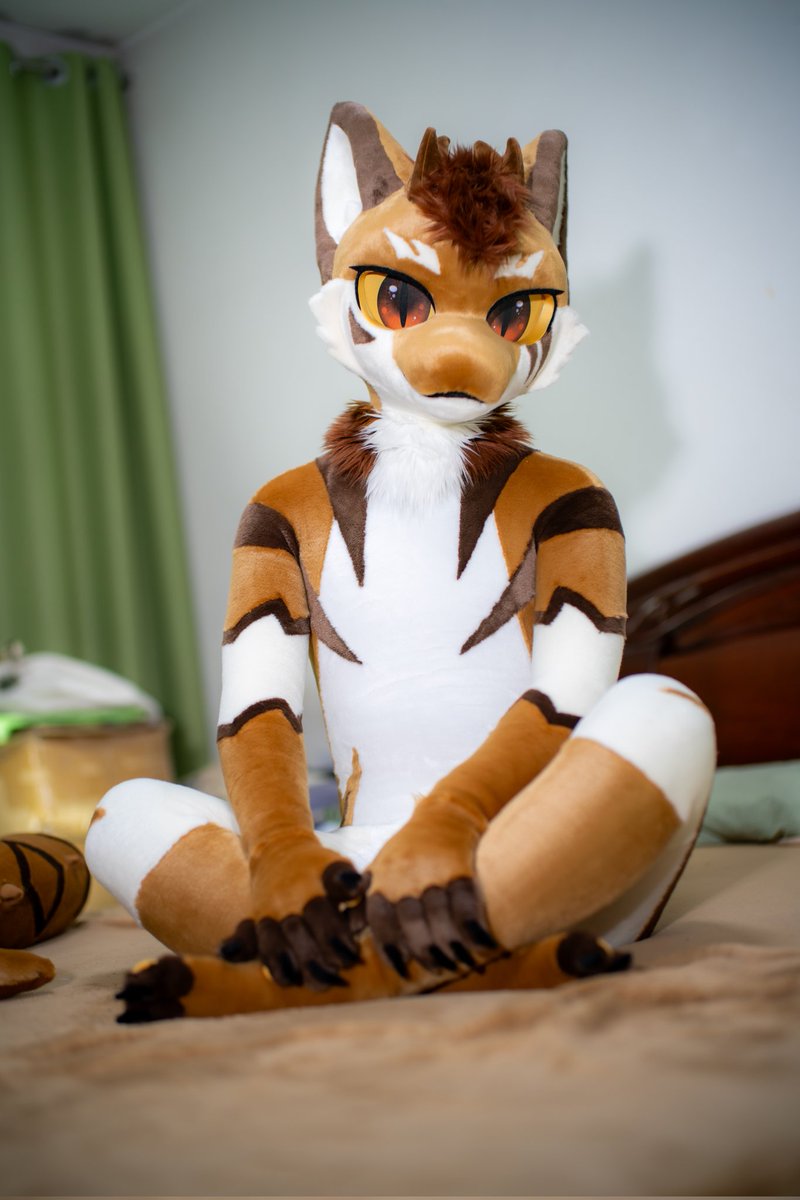 乖乖虎
#FursuitFriday