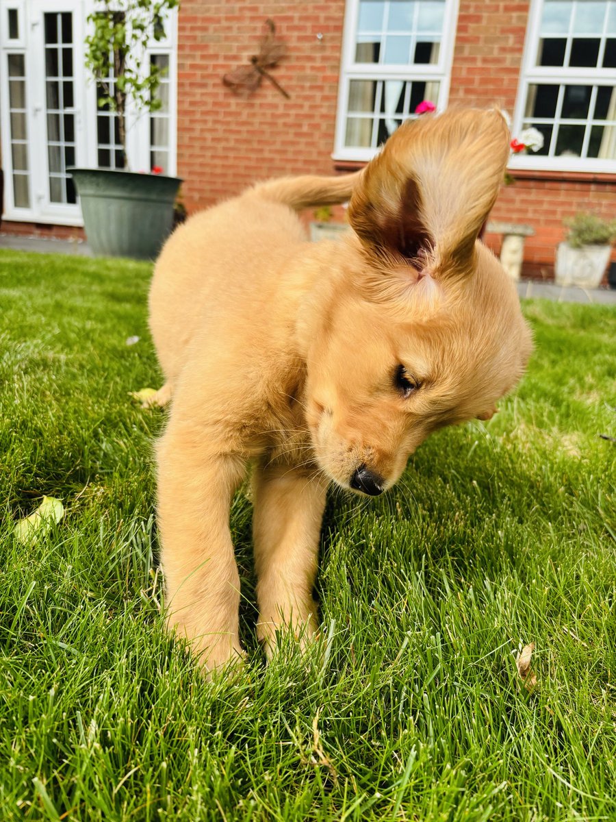 Welcome to the family Finn ❤️