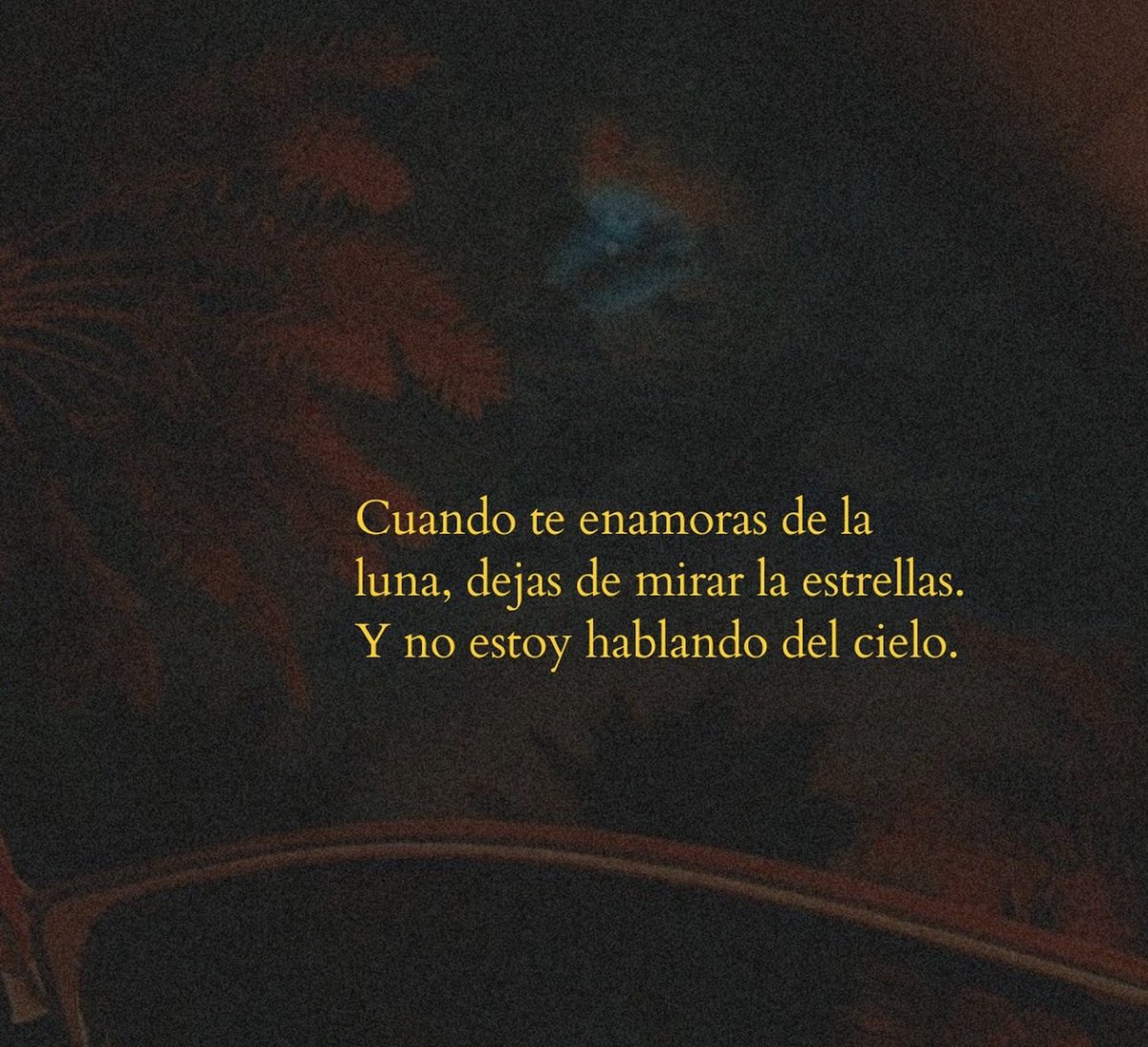 Cultura Literal tweet media