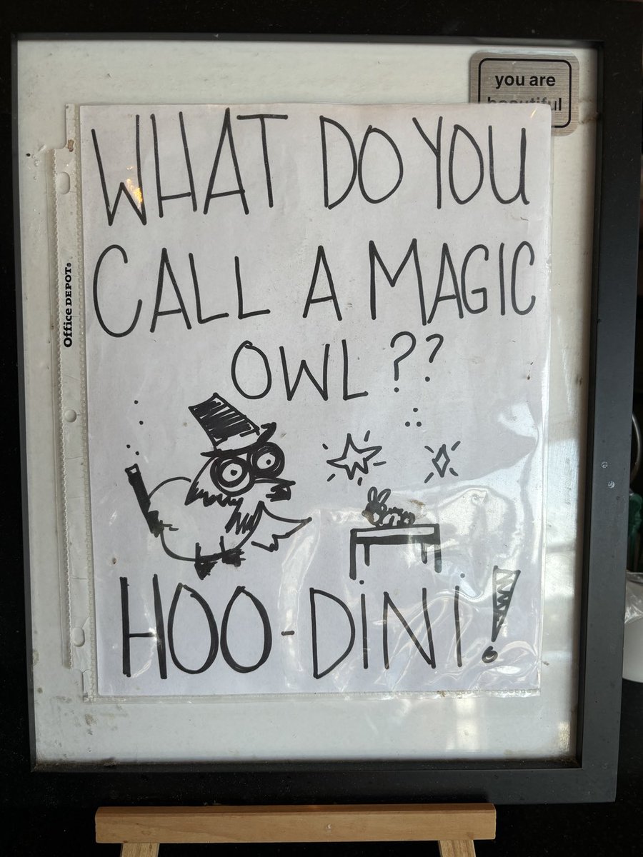 From a local coffee shop….
⁦<a href="/moonbirds/">Moonbirds</a>⁩