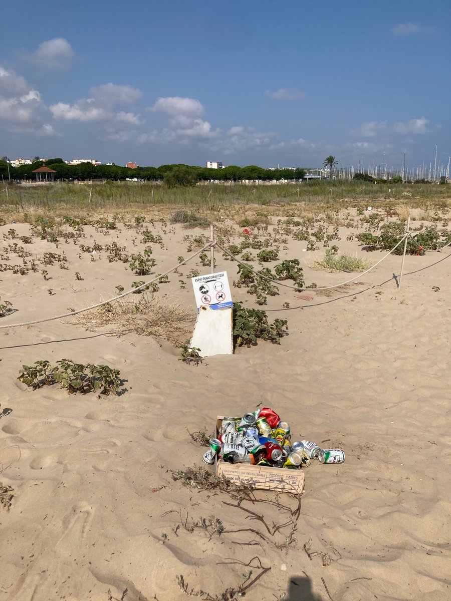 Marina Lussich tweet media