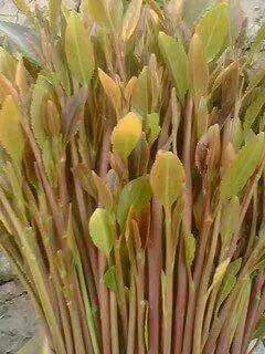 ولد ذمار ذمار ذمار (@wld28444dhmar) on Twitter photo 