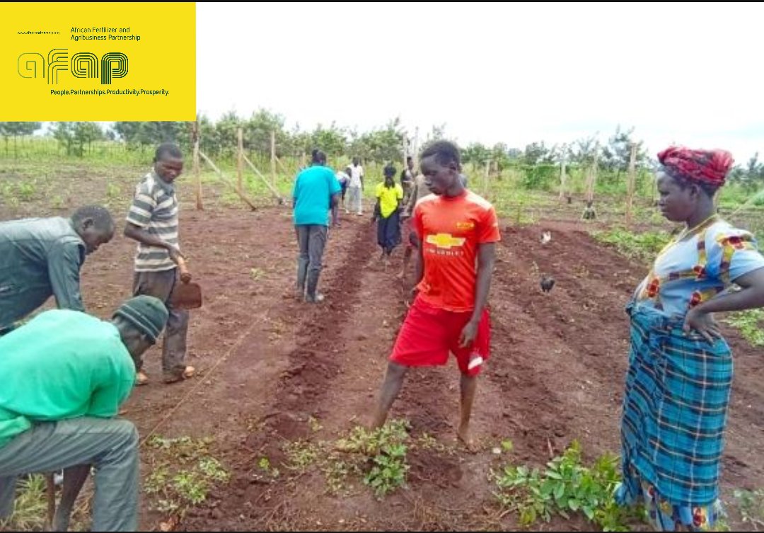 AFAP - Uganda tweet media