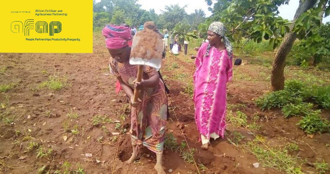 AFAP - Uganda tweet media