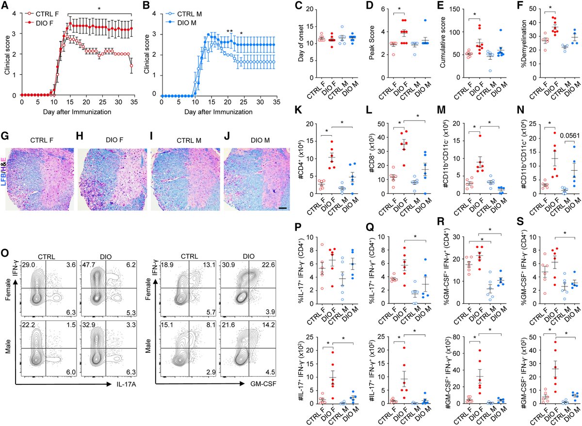 Obesity intensifies sex-specific interferon signaling to selectively worsen central nervous system autoimmunity in females: Cell Metabolism cell.com/cell-metabolis…