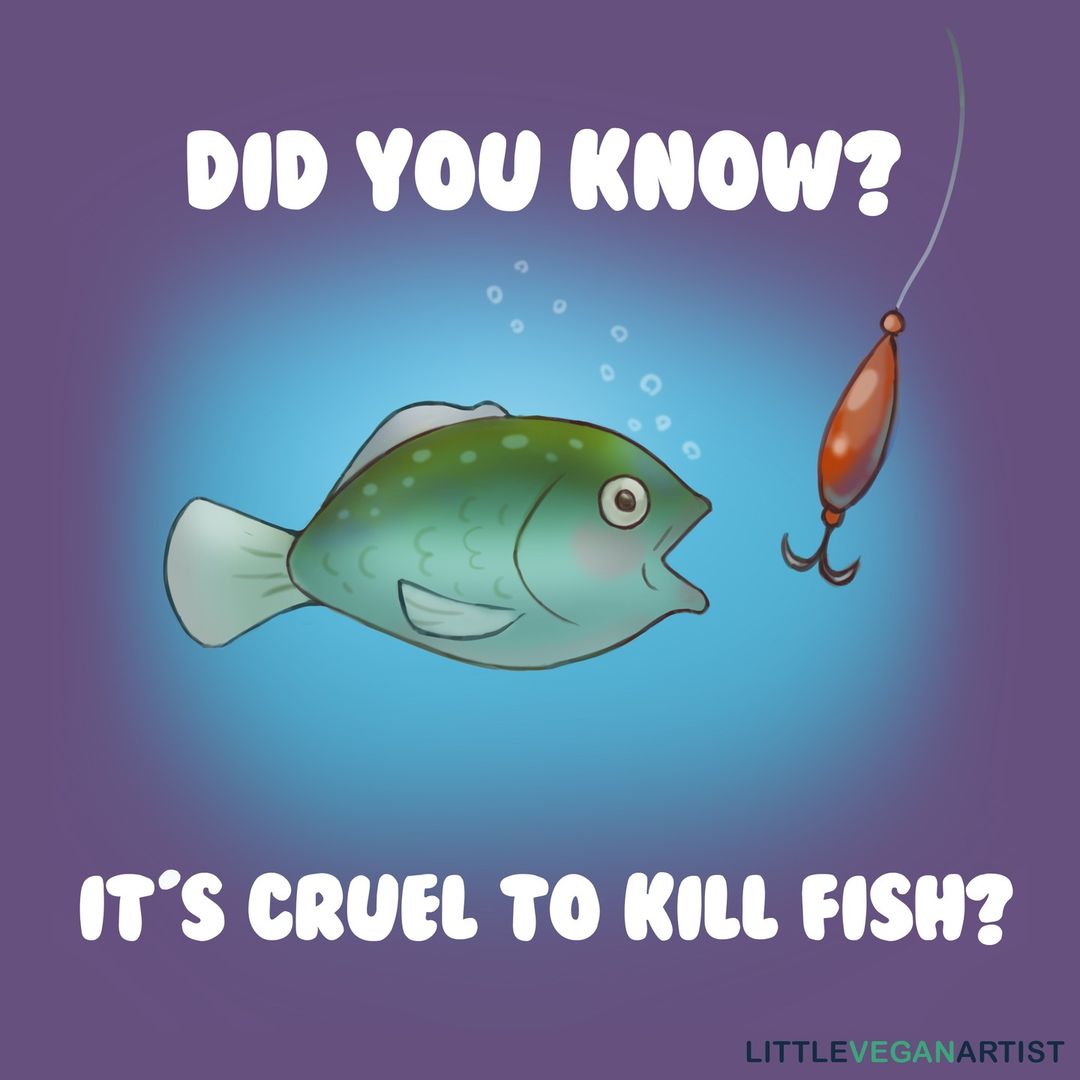 Fish can use rocks as tools, learn by watching their friends, and communicate using sounds that humans can't hear. They are individuals, just like you, and they want to be left alone. 

🎨 LittleVeganArtist (IG)