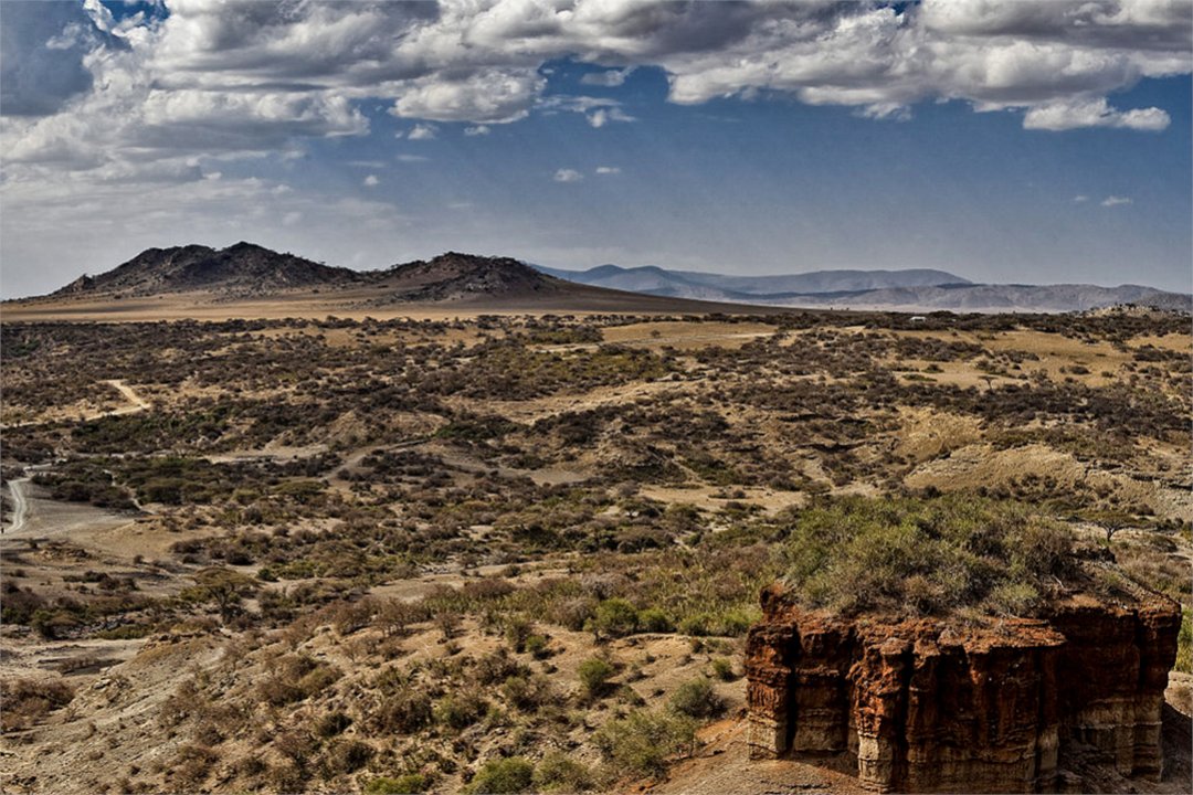 Anthropology's Andrew Barr and Bernard Woods' study shows how the mismatch between where fossils are preserved and where humans likely lived may influence our understanding of early human evolution.
bit.ly/3SVZmVq