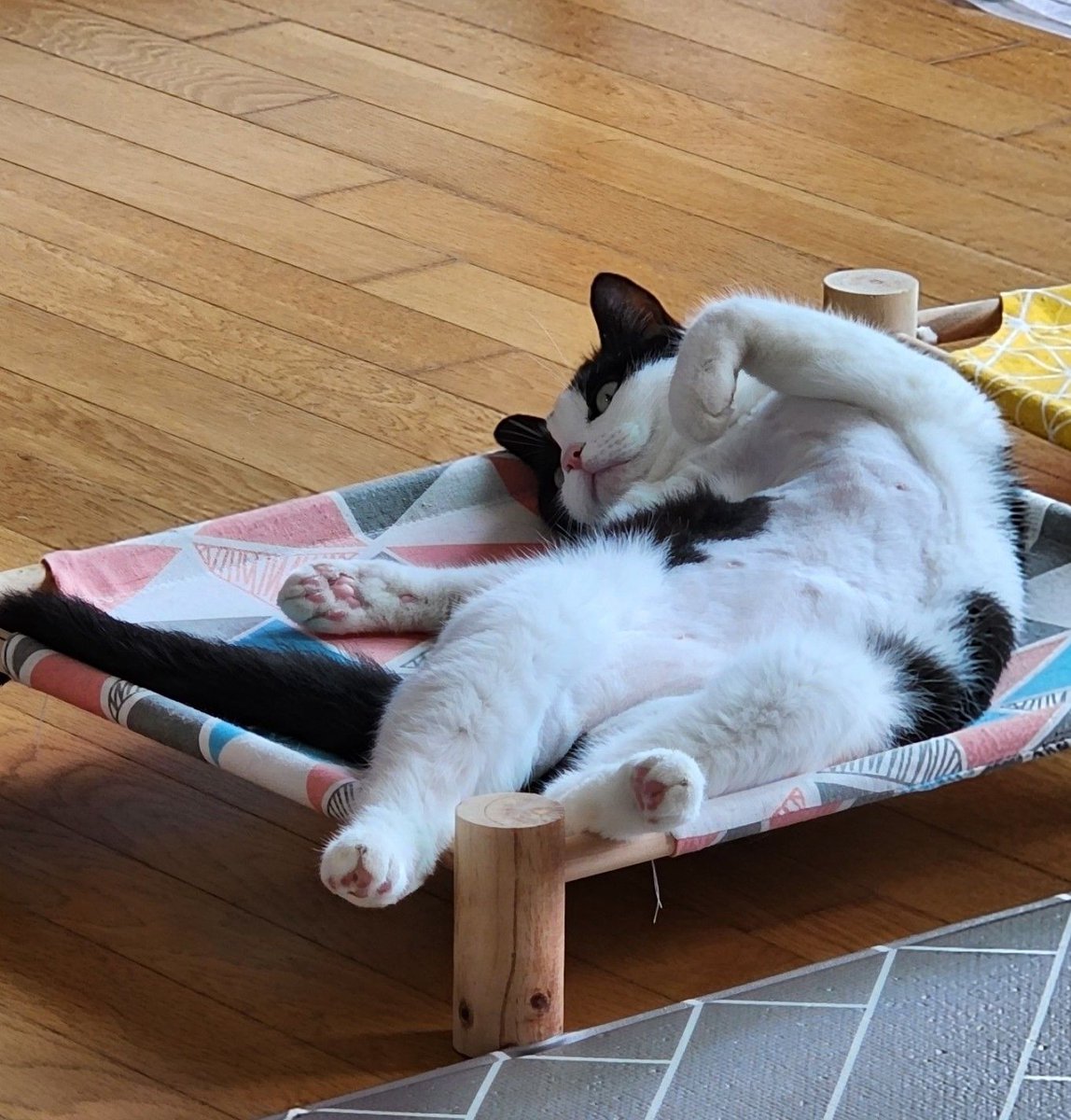 チャンさん (@chansan_0215) on Twitter photo 