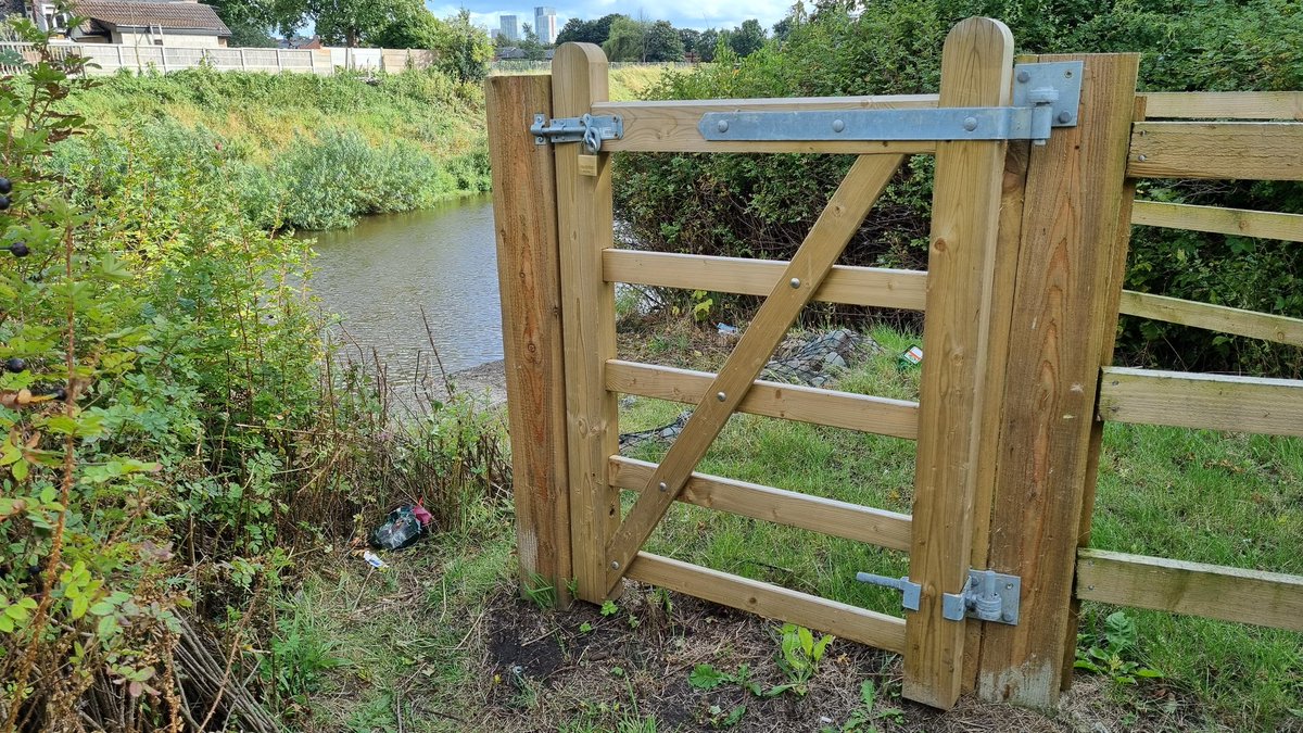 ProfDanny tweet media