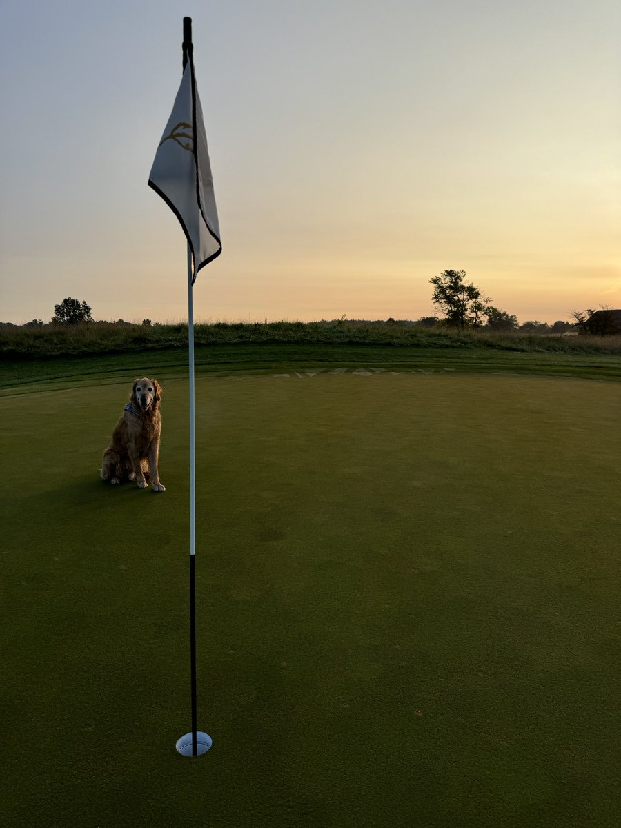 purdueturfy's tweet image. We've all enjoyed this cool stretch of weather for the past 5 days but all good things come to an end. Back to summer we go. #golfcourselife #dogsofturf #tgif