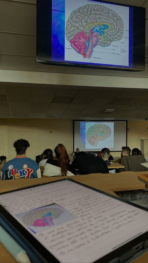 How to strengthen the pre-frontal cortex so you become a less shy &amp; anxious person: