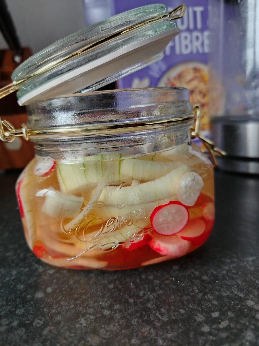 A couple of months ago i bought a couple of whiskey barrels to try and grow some veggies (out of reach of Ducks)

This is my first harvest 😅 Actually not a massive fan of Radishes so they have to be pickled. Luckily i had some onions to flesh out the jar a bit!