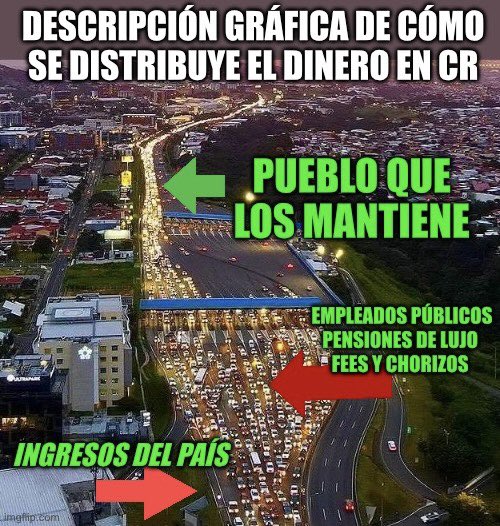 SirBonzo 💜💜🤍🤍🤍💜💜 tweet media