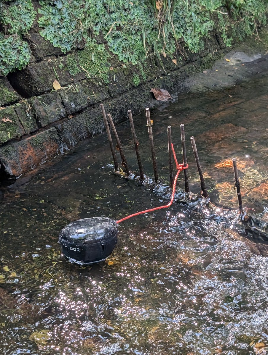 Ben C Howard tweet media