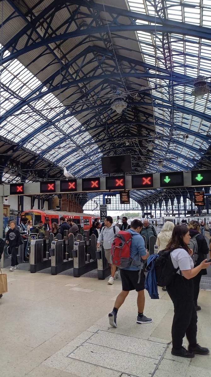 Brighton cheerful CXCVI