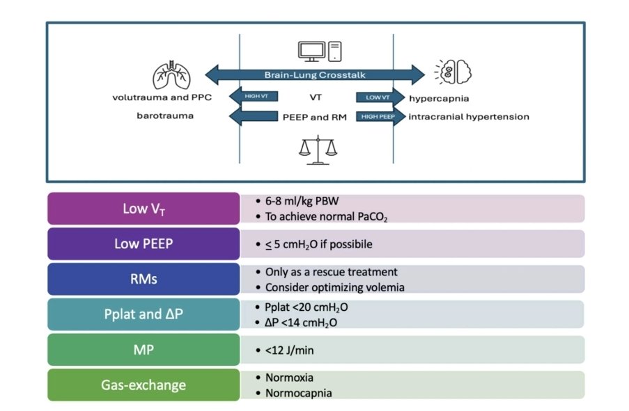 LeslieMegom's tweet photo. 🫁Ventilación mecánica🪭 en pacientes neuroquirúrgicos. 🧠💢
Vt bajo      ⏩ alcanzar PaCO2 normal
                    ⏩6-8 ml/kg.
Peep.         👉🏻<5 cmH2O si es posible
Pplat / DP⏩Pplat <20 cmH2O.
                    ⏩DP <14 cmH20
Maniobras de Reclutamiento Alveolar 🧵 👇🏻 https://t.co/eXsjRRggIa