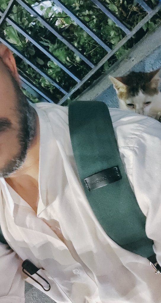 boyytech's tweet image. Snapping for not giving enough pets at EOD.
#CatsLover #CatsofTwittter #CatsOnX #catsofmumbai