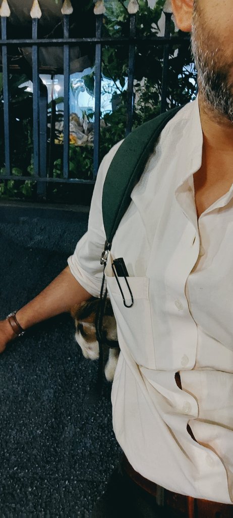 boyytech's tweet image. Snapping for not giving enough pets at EOD.
#CatsLover #CatsofTwittter #CatsOnX #catsofmumbai